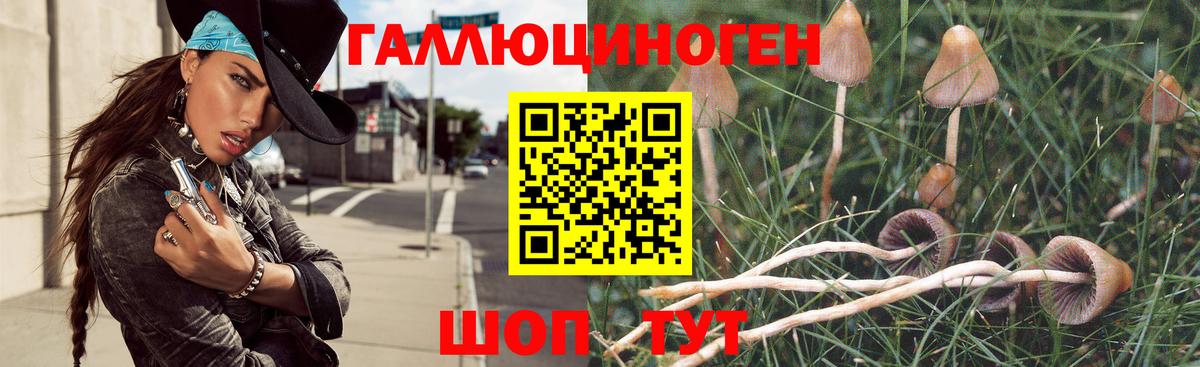 Псилоцибиновые грибы Magic Shrooms  Галлюциногенные грибы ЛСД  Орск  Вход с VPN 